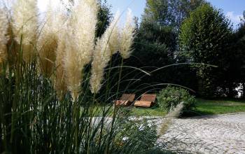 Außenansicht Garten mit Schilf und Sonnenliegen