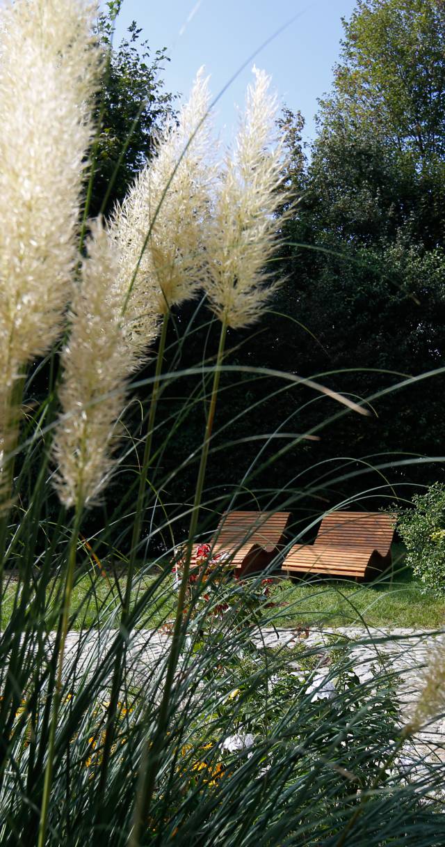 Außenansicht Garten mit Schilf und Sonnenliegen