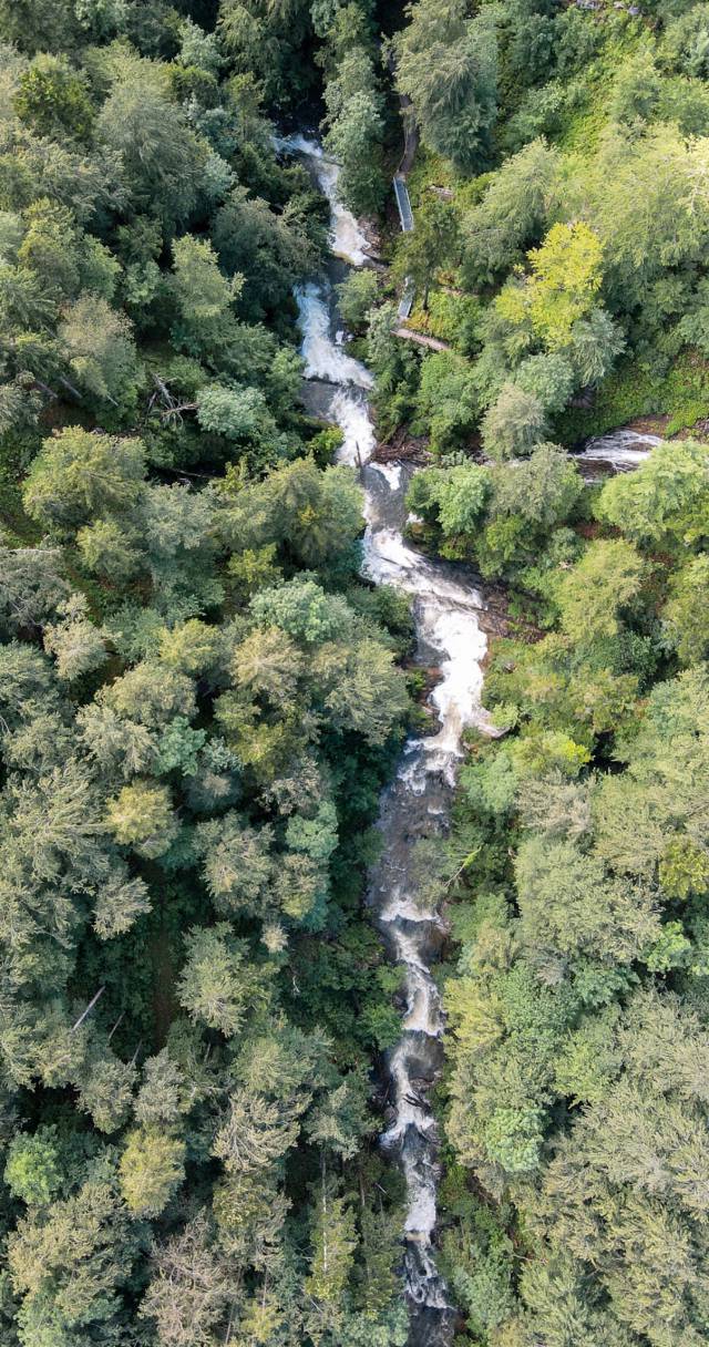Nachhaltigkeit - Bayerischer Hof Miesbach